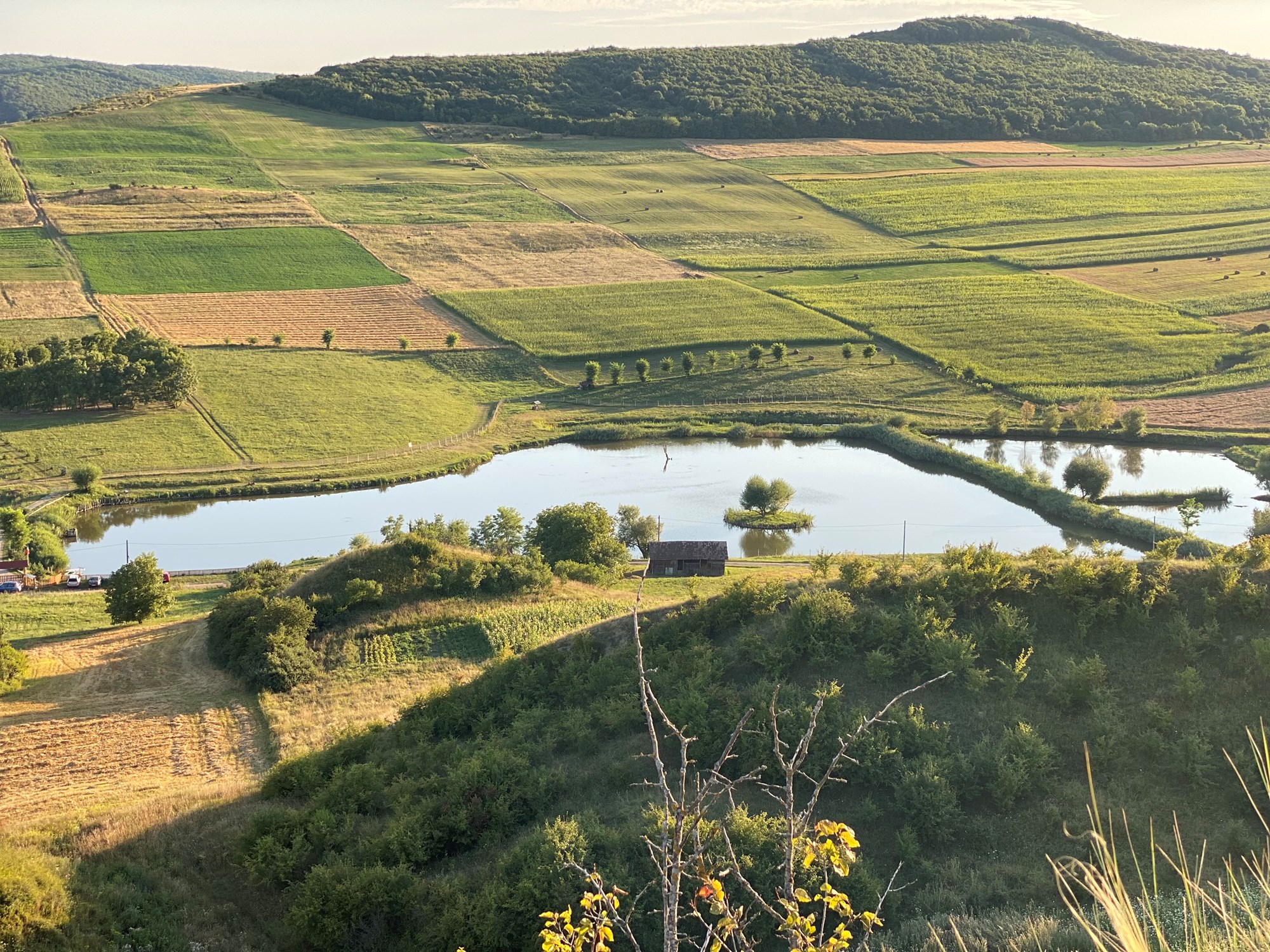 Zaganu 1 - 8 aug. - 37CD8EB25DC24A89876022B8FDA82C43.jpg